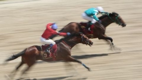 ОАО «Российские ипподромы» стал букмекером