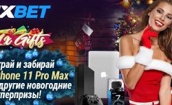 Подробности новой акции в БК 1xbet