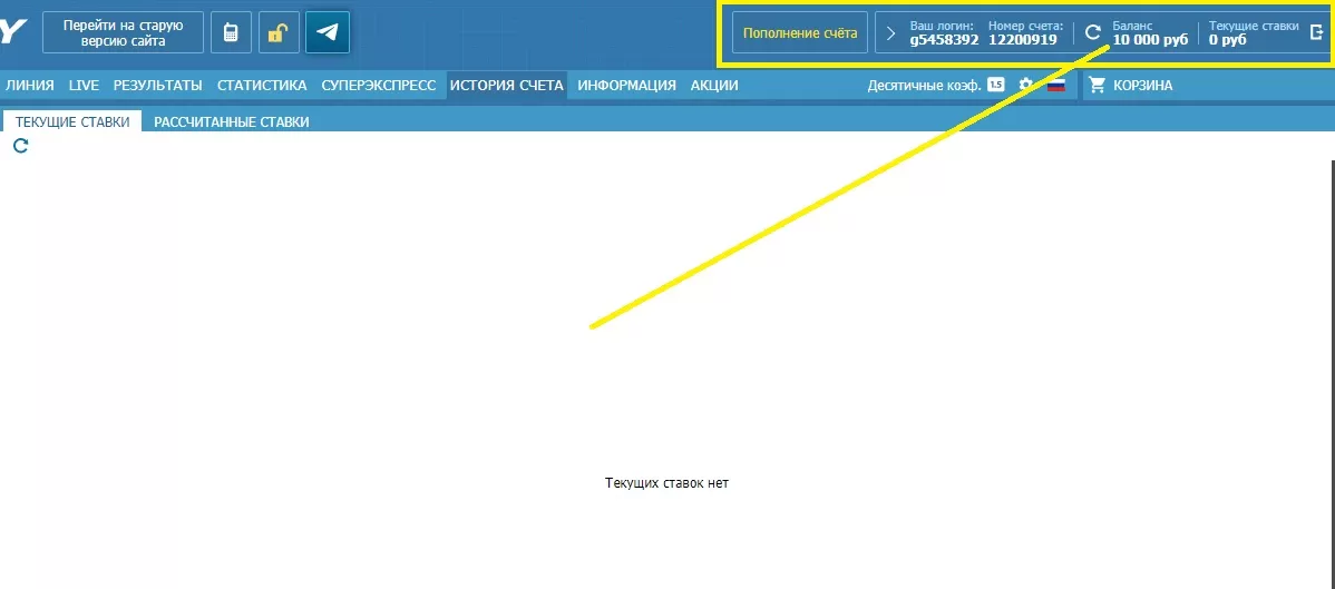 бетсити гостевой профиль