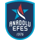Анадолу Эфес