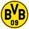 Боруссия Д