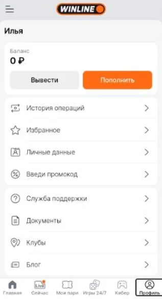 Личный кабинет в мобильной версии Винлайн
