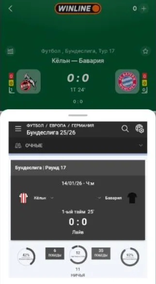 Личный кабинет в мобильной версии Винлайн