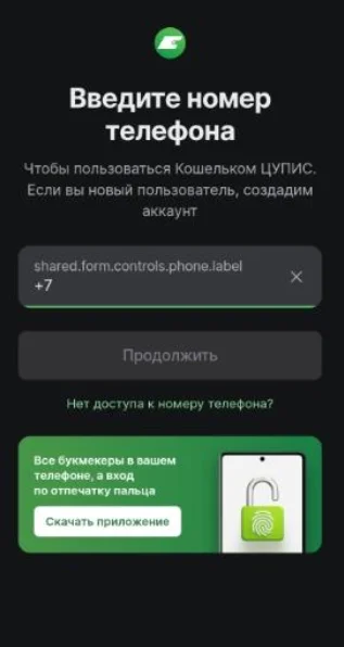 Регистрация в ЦУПИС в мобильной версии Винлайн