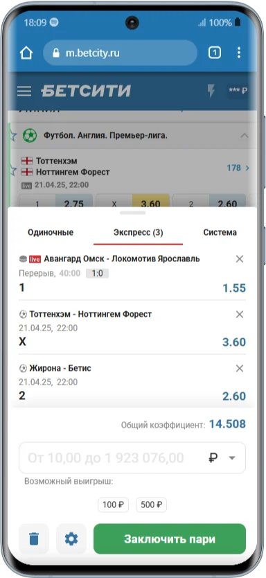 Корзина в мобильном Бетсити