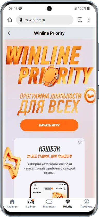 Priority в мобильной версии сайта Винлайн