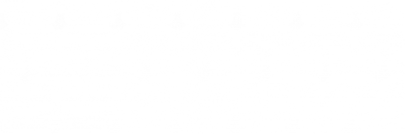 Бетбум фон