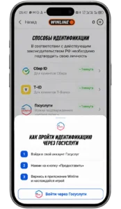 Как пройти идентификацию в Винлайн через Госуслуги