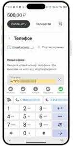 сайт ЕДИНОГО ЦУПИС, подтверждение нового номера