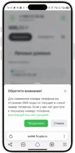 сайт ЕДИНОГО ЦУПИС, открыт экран изменения номера и видна кнопка «Продолжить»