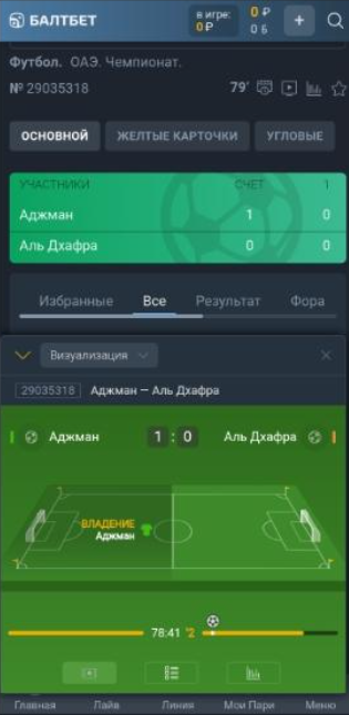 Трансляции матчей в мобильной версии Балтбет
