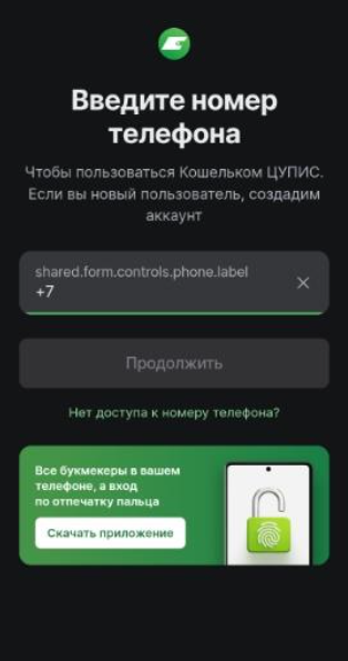 Регистрация в ЦКПИС через мобильную версию Балтбет