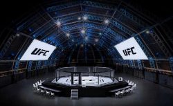 Президент UFC показал фотографию с бойцовского острова