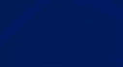 Бонусы в БК Vbet