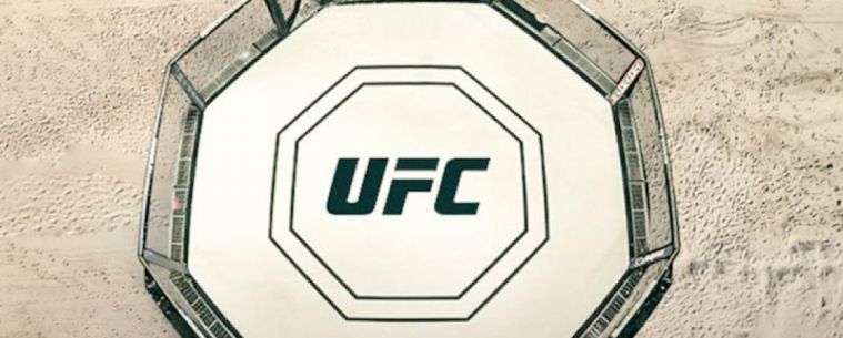 Турниры на Бойцовском острове UFC под угрозой