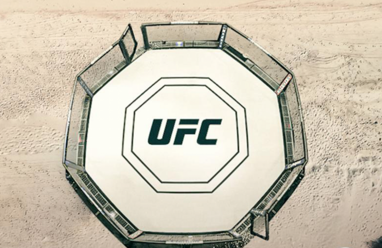 Турниры на Бойцовском острове UFC под угрозой