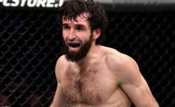 Забит обратился к руководству UFC и чемпиону своего...