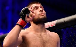 Хабиб рассказал, с каким видом спорта он хотел связать...