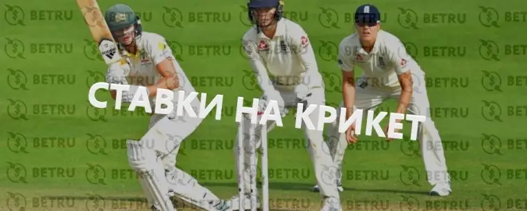 Лучшие стратегии ставки на крикет