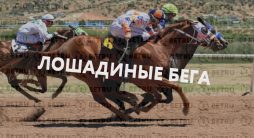 Ставки на лошадиные бега