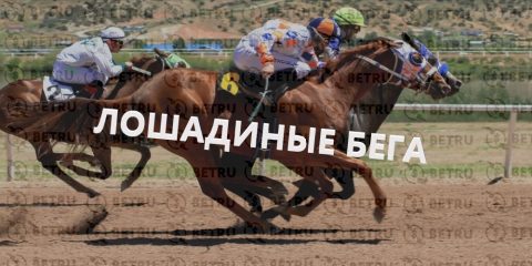 Ставки на лошадиные скачки – с чего начать?