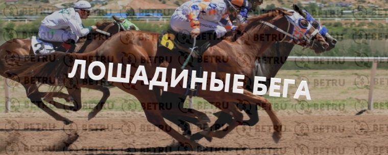 Ставки на лошадиные скачки – с чего начать?