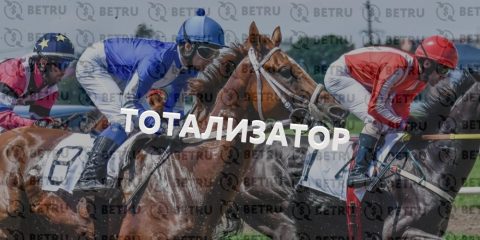 Ставки в тотализатор на скачках — подробное описание
