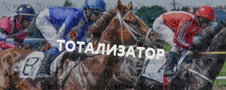 Ставки в тотализатор на скачках — подробное описание