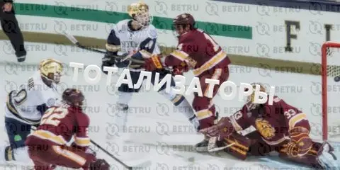 Что такое хоккейный тотализатор в букмекерской конторе