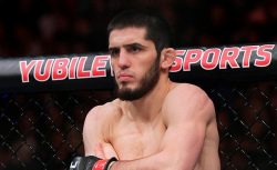 Бой друга Хабиба с чемпионом UFC отменён