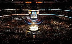 UFC возвращает фанатов на трибуны с первых турниров...