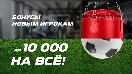 Лига Ставок дает бонус за пари на все виды спорта