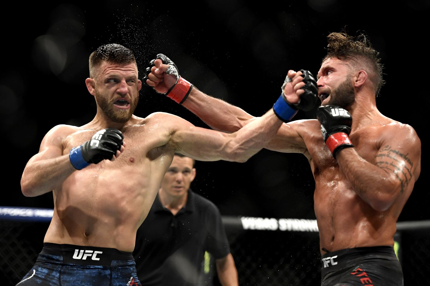 Макс Холлоуэй-Келвин Каттар, прогноз на турнир UFC Fight Island 7, 17.01.2021
