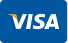 Visa логотип