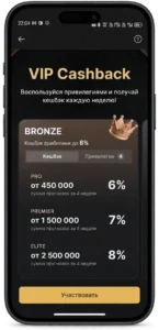 актуальная страница VIP-программы или программы лояльности Фонбет со статусами и уровнями
