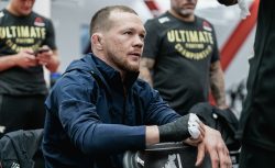 Ян, Махачев, Волков и Чимаев – фавориты своих...