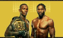 Адесанья и Волкановски – фавориты титульных боев UFC...