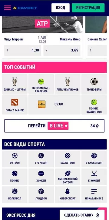 Интерфейс приложения БК Favbet для iPhone (iOS)