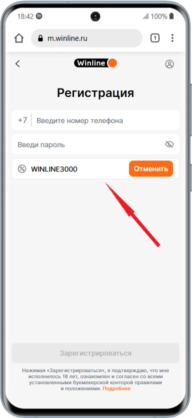 Куда вводить промокод в БК Винлайн