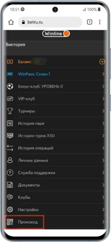 Куда вводить промокод старым игрокам БК Винлайн
