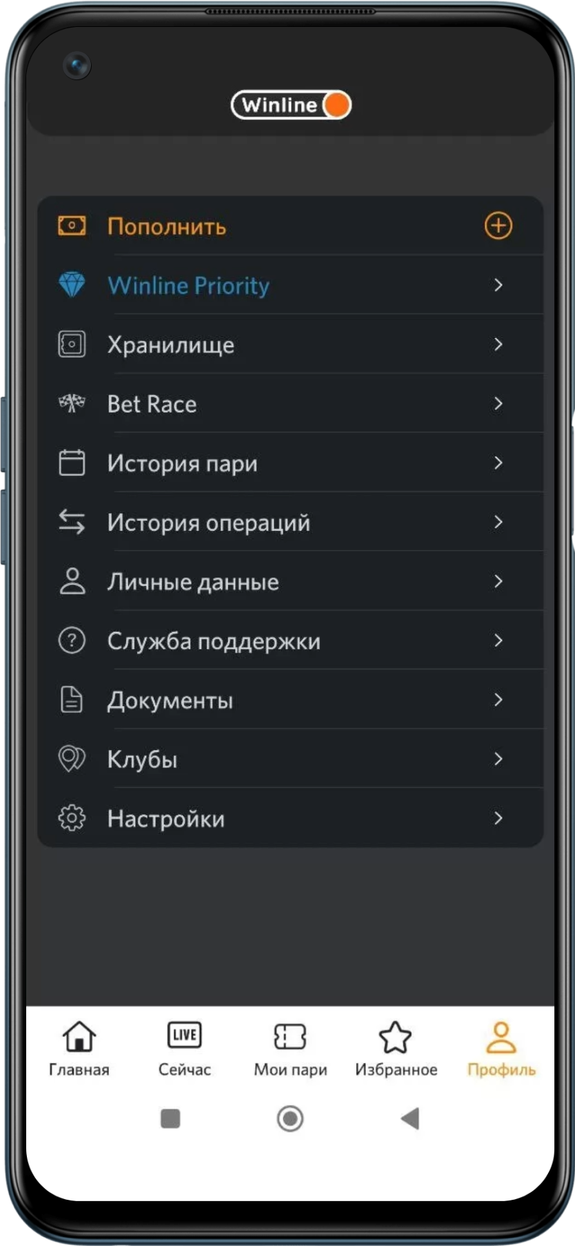 Личный кабинет Винлайн в приложении на Андроид