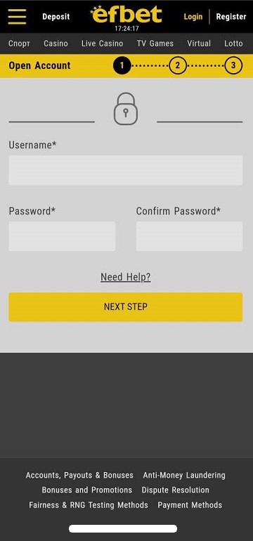 Интерфейс регистрации в приложении букмекерской конторы Efbet на Айфон