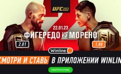 Winline бесплатно покажет титульные бои UFC 283