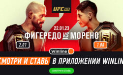 Winline бесплатно покажет титульные бои UFC 283