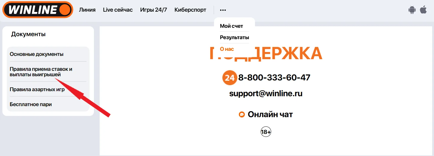 Правила приема ставок Вмнлайн