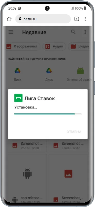Установка мобильного приложения Лига Ставок