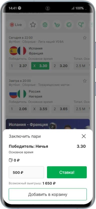 Как выглядит купон в БК Лига Ставок