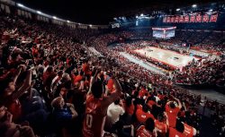 Дисциплинарные санкции в финале Греческой лиги:...