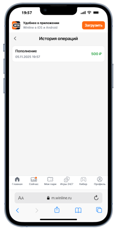 Платеж зачислен в Винлайн - как проверить