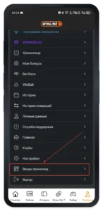 актуальный раздел профиля Winline для ввода промокода действующим игроком,